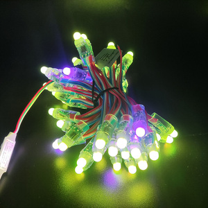 WS2811ICRGBフルカラー12mmピクセルデジタルアドレス可能5VドリームカラーLEDピクセルモジュールIP68防水ライト