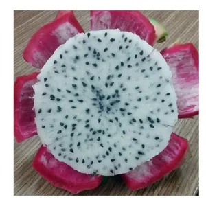 Natural Sweet and Fresh Dragon Fruit Competitive Price/ good for health