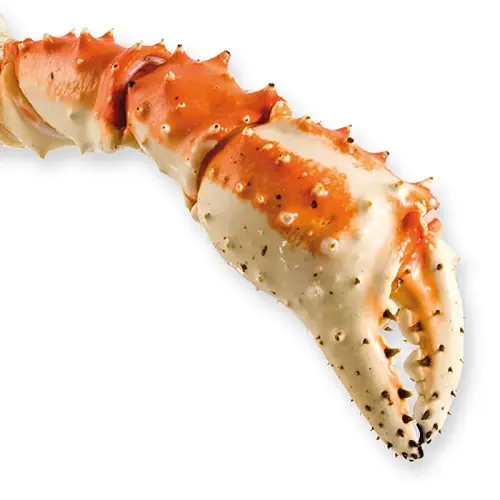 King Crab Legs Calidad congelada King Crabs Snow Crab/Alaskan King Crabs/King Crabs