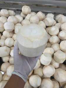 True Fruits Young <strong>Coconut</strong> from Vietnam Inverted Diamond <strong>Shape</strong> with Bamboo Plastic Straw Easy Open and Easy to Drink Fresh Pulp - Product Image 2