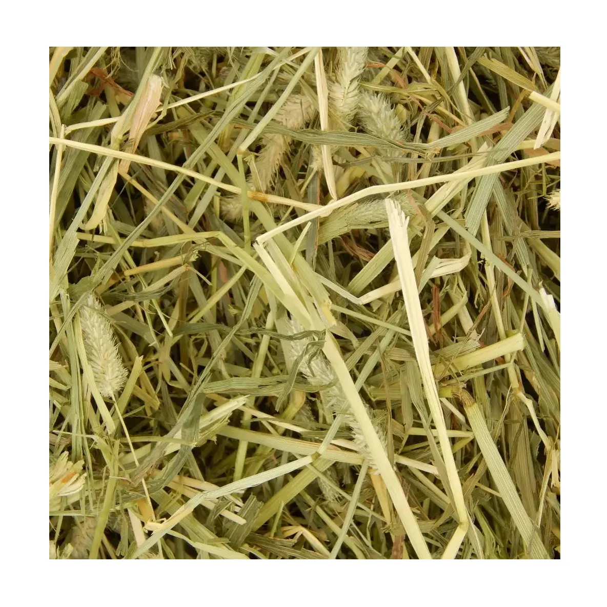 Wholesale Price Timothy hay for Animal Feeding Bulk Stock Available For Sale