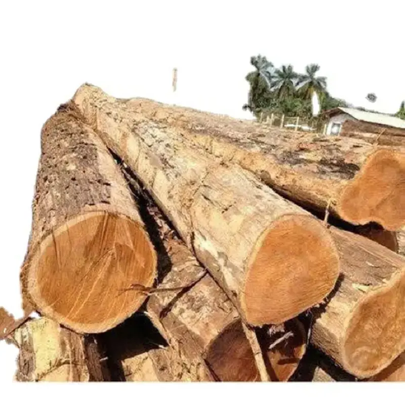 Troncos de madera de teca personalizados al por mayor de alta calidad, pino y cerezo rojo, bosque masivo, troncos de madera de teca de Brasil