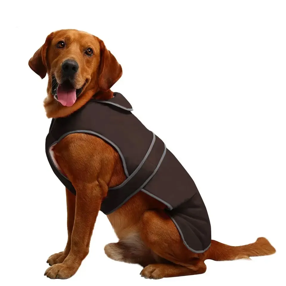 Chaqueta impermeable de lujo con botones para mascotas, Abrigo con capucha, ropa para cachorros, venta al por mayor