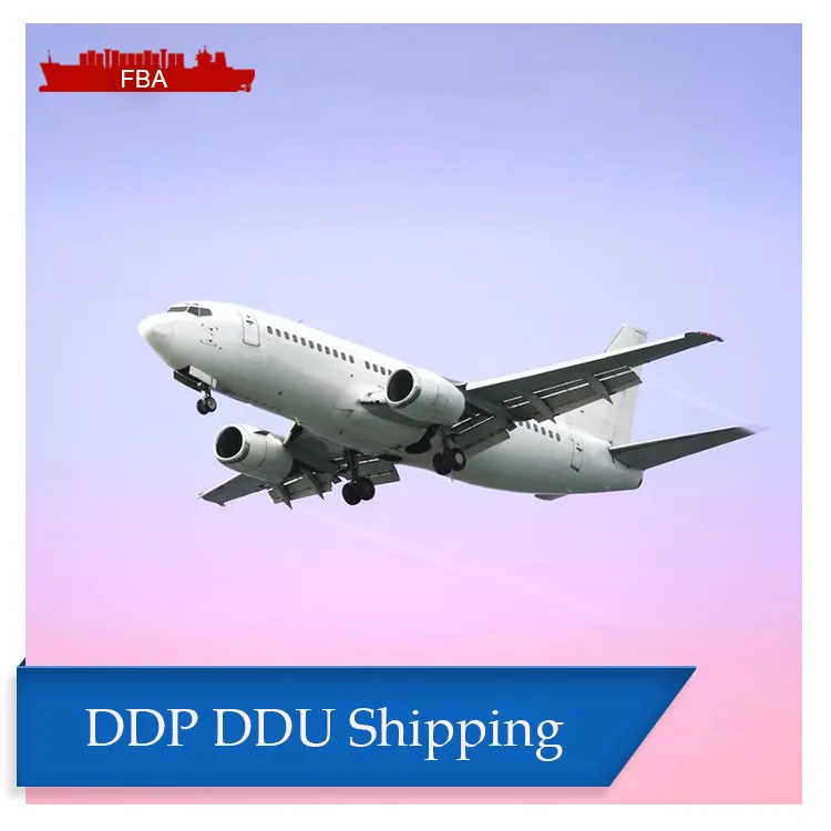 DDP DDU貨物輸送代理店中国からシンガポール航空貨物運送業者