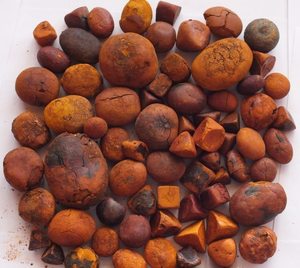 Export 100% <strong>Natural</strong> Top Quality Ox Gallstones Cattle Gallstones Buy Cow Gallstones - Product Image 1