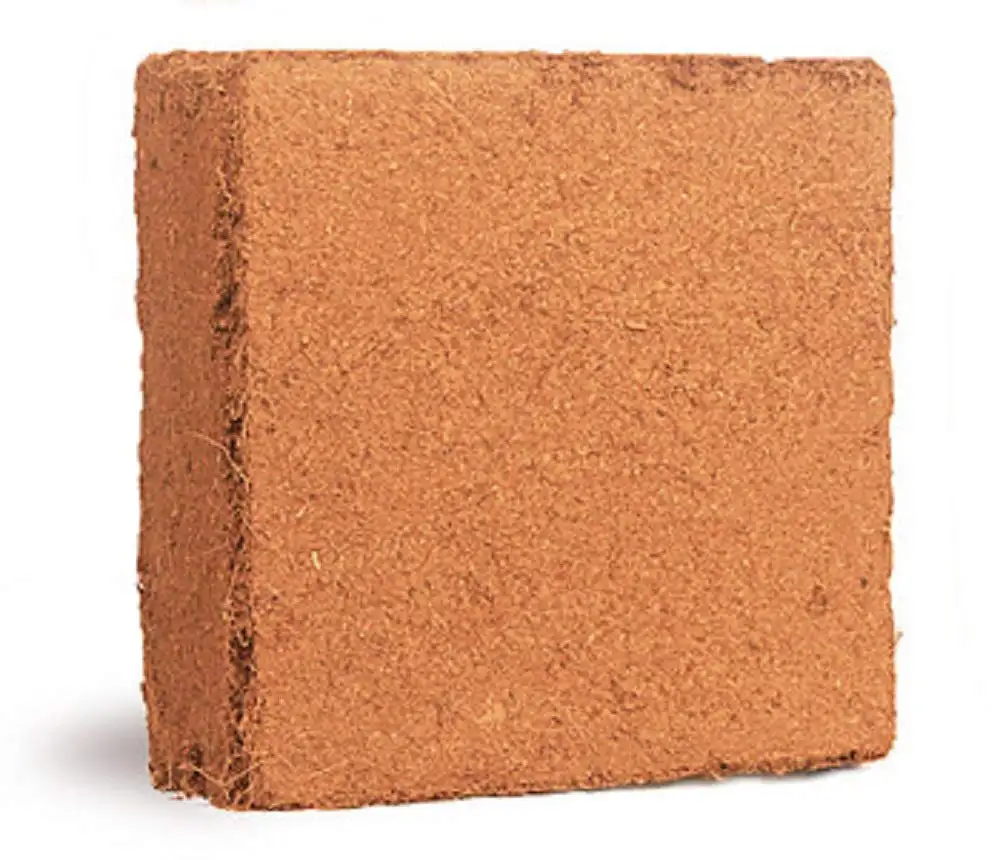 Los bloques Cocopeat se pueden usar como mantillo para conservar la humedad del suelo