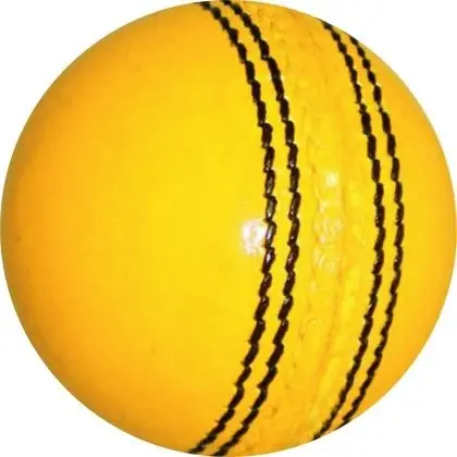 OEM hizmeti eğitim oyun bahçe kriket sert topu özel deri maç topu yetişkinler için Pakistan yapılan kriket topları