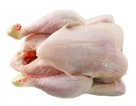 Pés de frango congelados de qualidade e patas de frango TURQUIA CONGELADA HALAL completa | TRUTURQUIA COMPLETA PROCESSADA de frango CONGELADO