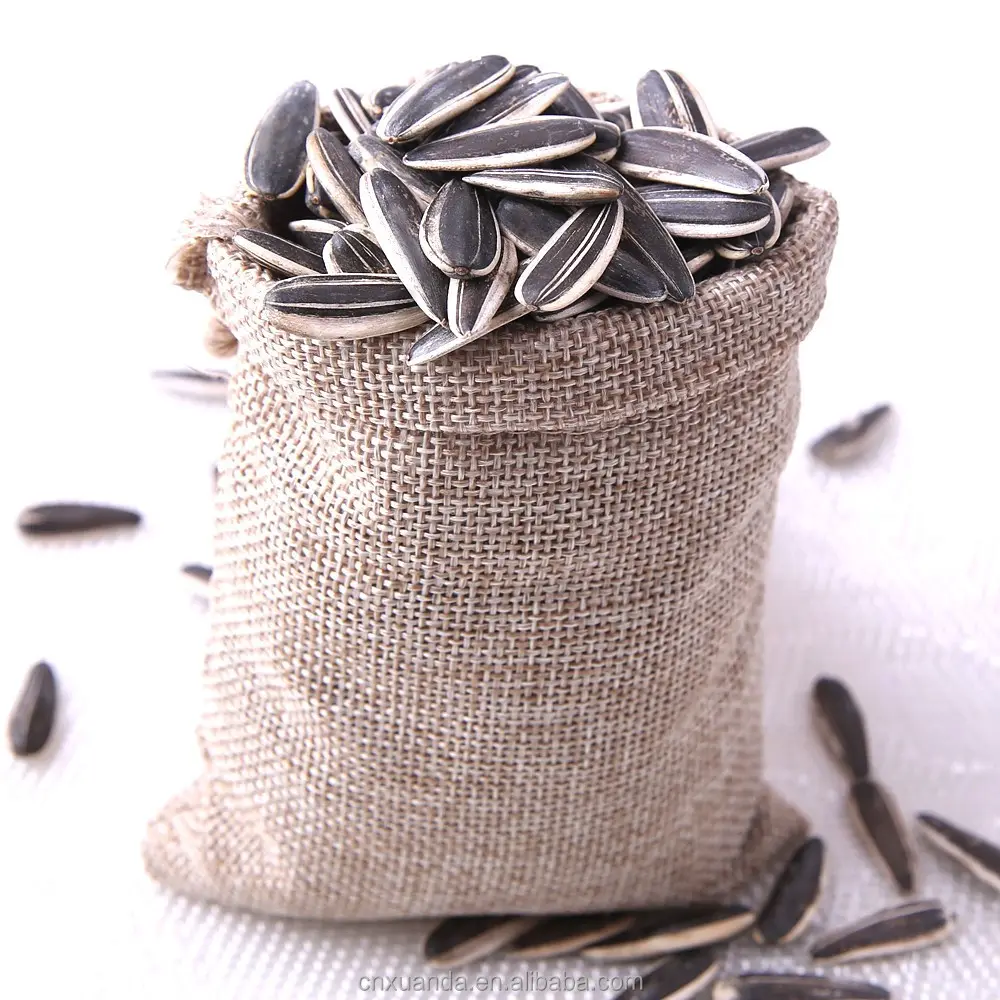 Wholesale hot selling edible flower seeds crispy roasted sunflower seeds with walnut flavor Germany Cheap Price
