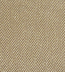 Beige Foncé