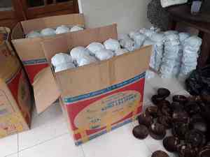 FS uluslararası hindistan cevizi kabuğu kase cilalı kıyı tropikal tasarım yemek doğal kabuktan yapılmış - Product Image 2