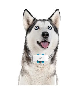 4GミニワイヤレスペットGPS防水GPSロケーション & スマートアクティビティトラッカーを備えた犬のための最高品質の格安価格 - Product Image 2