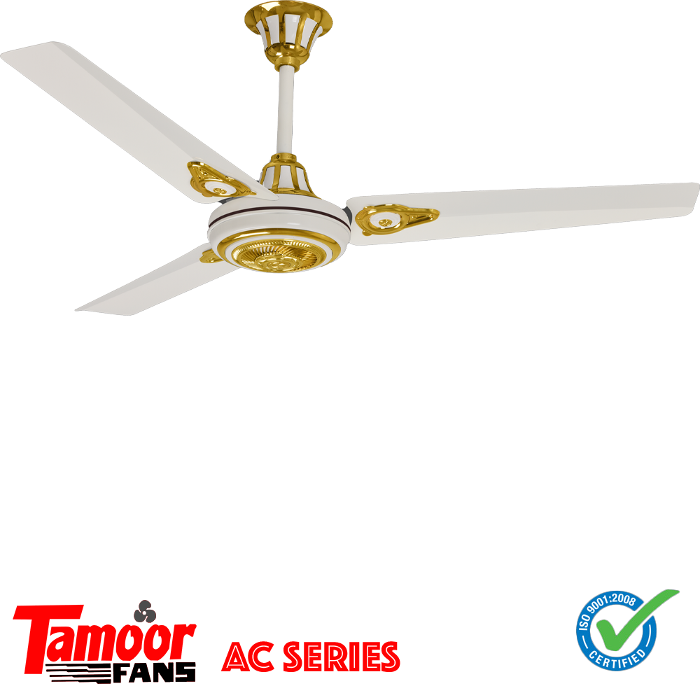 ครึ่งสีขาว