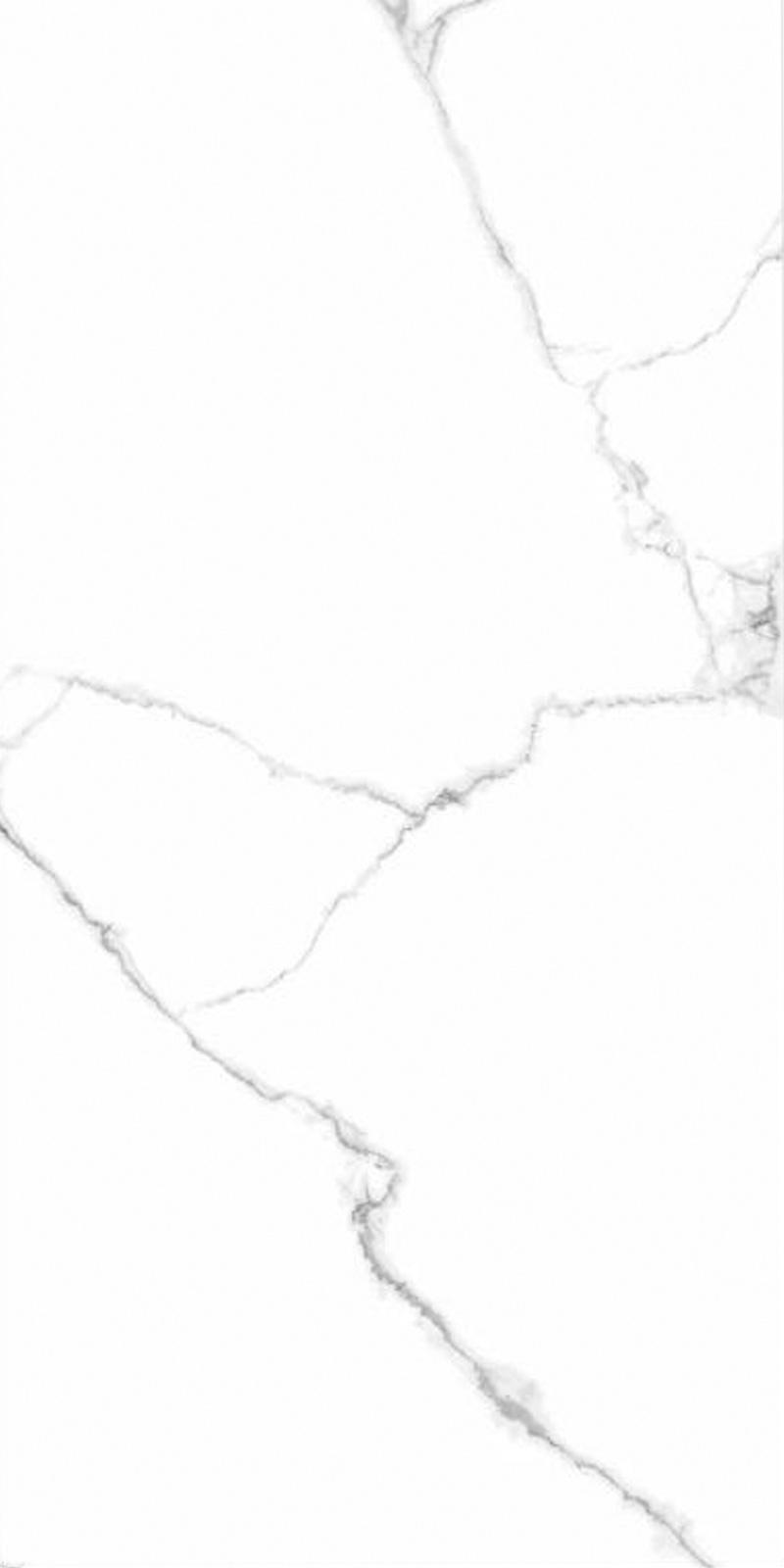 สีขาวมีเส้นดำ