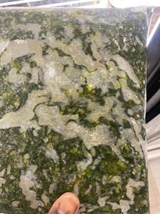 价格最好的优质冷冻木薯叶准备从越南批量出口