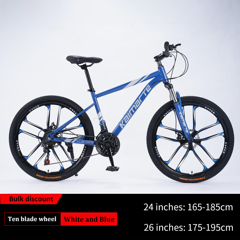 blue-Mountain Bike 16