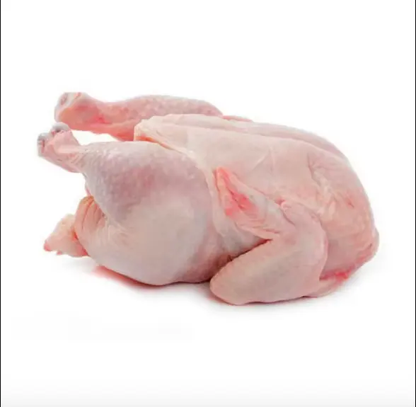 Novo estoque de frango inteiro congelado Halal, patas de frango congeladas frango processado congelado preço barato no Brasil