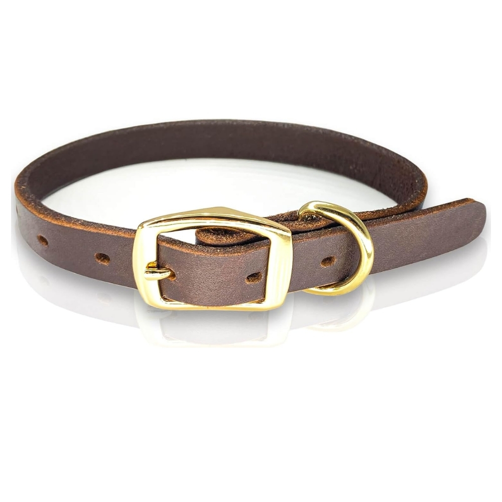 สีน้ำตาล