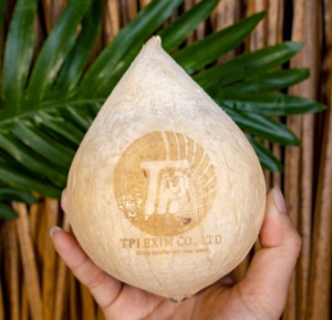 Esclusive noci di cocco fresche incise al Laser-marchio personalizzato, noci di cocco di alta qualità, autentiche, fresche e naturali - Product Image 2