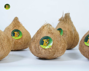 Noci di cocco semigreggio di qualità Premium per l'esportazione - Product Image 4