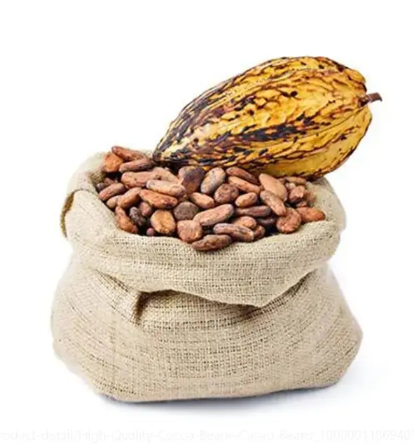 Wholesale New Beans Price Pure Quality Natural Organic Bulk Dry Cocoa Beans for Sale/ Chocolate / Beans/ Powder