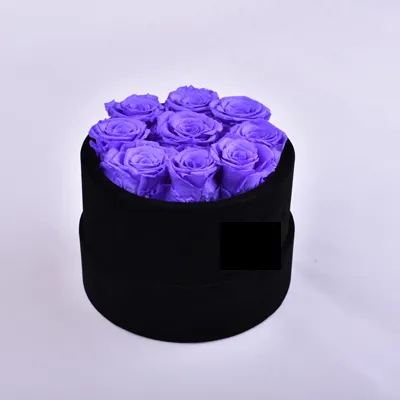 Pourpre