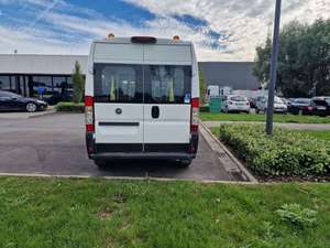 <strong>USED</strong> <strong>FIAT</strong> DUCATO 2009 - Product Image 4