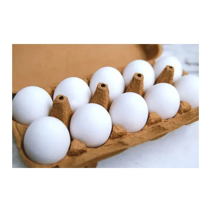 Huevos de mesa de pollo fresco de granja/Proveedor blanco de huevos de pollo de granja ricos en proteínas frescas Huevos de mesa frescos Granja blanca