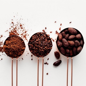 Polvo de coco puro a granel, bajo en grasa, 100%, con el mejor precio - Product Image 2