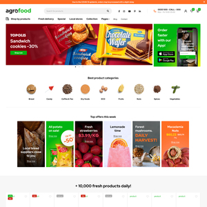 E-Commerce-Online-Shop Website-Entwicklung zu erschwing lichen Angeboten | Webent wicklung & E-Commerce-Einkaufs wagen