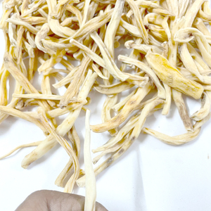 White Muslii / Herbal Extract Safed Muslii Wholesale Low Price Made By M/<strong>S</strong> HARMAIN GLOBAL IMPORTS AND EXPORTS - Product Image 5