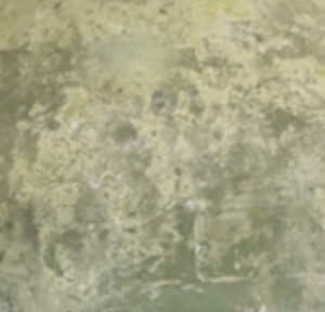 As Picture