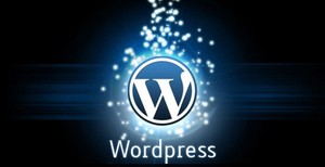 Online Service Provider for WordPress Website Design and Development Mac Compatible Drop Shipping Online Shop Builder