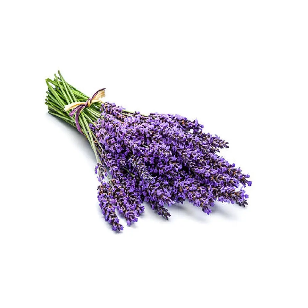 Spike olio di lavanda puro e naturale al 100% per cosmetici alimentari e qualità impeccabile di grado farmaceutico ai migliori prezzi