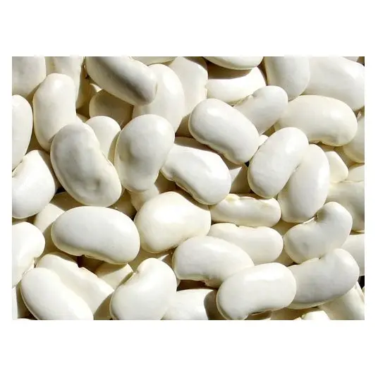 Fournisseur d'Allemagne Haricots blancs naturels Nouvelle récolte égyptienne Haricots blancs de haute qualité à des prix abordables