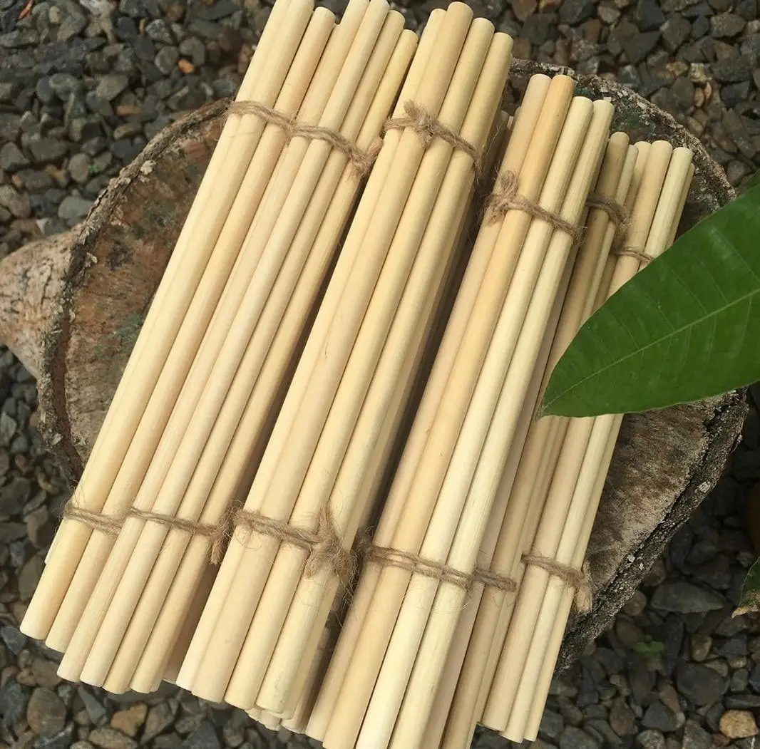 Pajitas de bambú de alta calidad, venta al por mayor, respetuosas con el medio ambiente, precio competitivo, VN