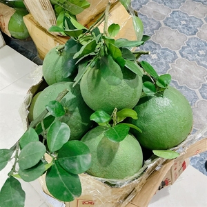Top Quality Natural Green Skin <strong>Pomelo</strong> with Red Flesh Sweet Taste Size 1.4-1.8 kg for Export Origin Vietnam - Product Image 1