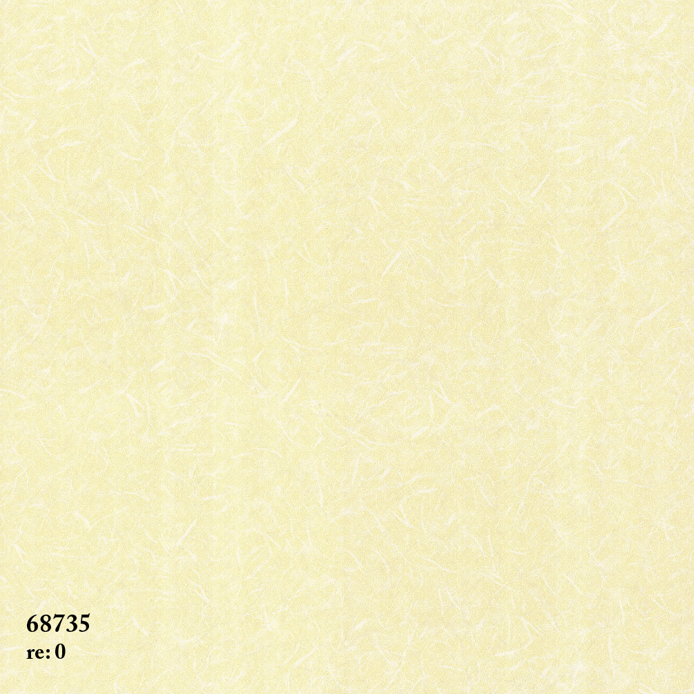 68735
