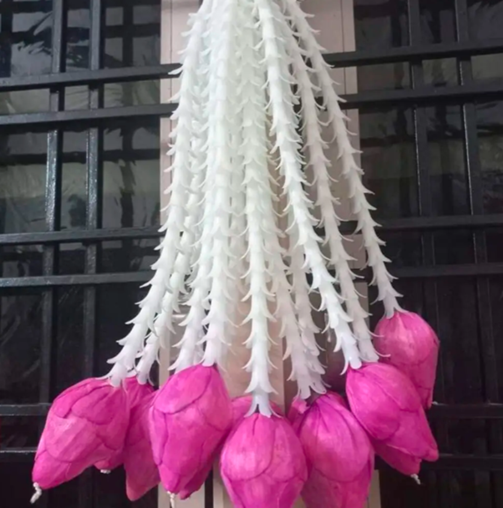 สีขาวและสีชมพู