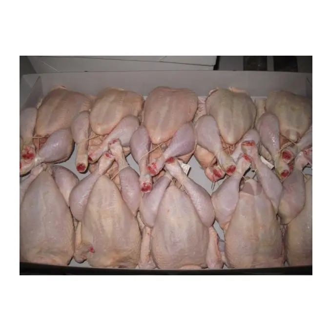 トルコの家禽肉鶏肉からの最高品質の健康的で自然な全鶏ハラール冷凍全鶏