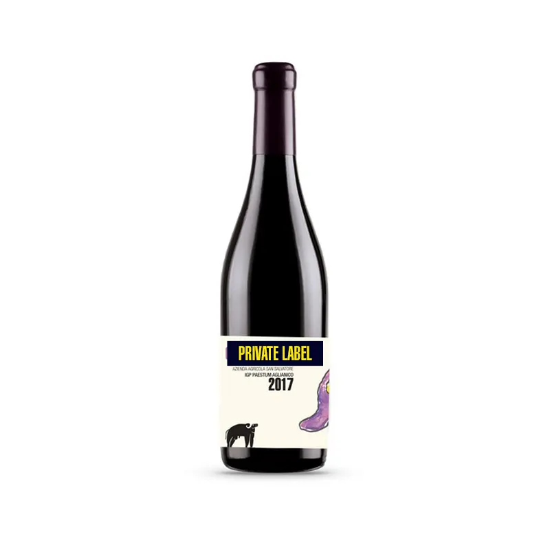 أعلى جودة Gillo Dorfles نبيذ أحمر إيطالي IGP نبيذ طاولة متوسط الجفاف زجاج بنسبة 15% زجاجة 0.75 لتر 6 زجاجات صندوق مشروب بعلامة خاصة