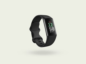 Fitbit Google Charge 6アクティビティトラッカー、8GB ROM 4GB RAM 16GBフラッシュ、Androidオペレーティングシステム用利用可能英国EUプラグタイプ