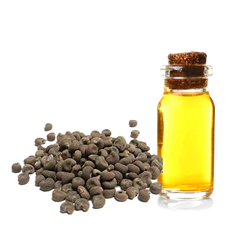 Aceite de semilla de Ambrette aprobado ORGÁNICO 100% Aceites esenciales puros Fabricante y proveedores a granel a precio mayorista