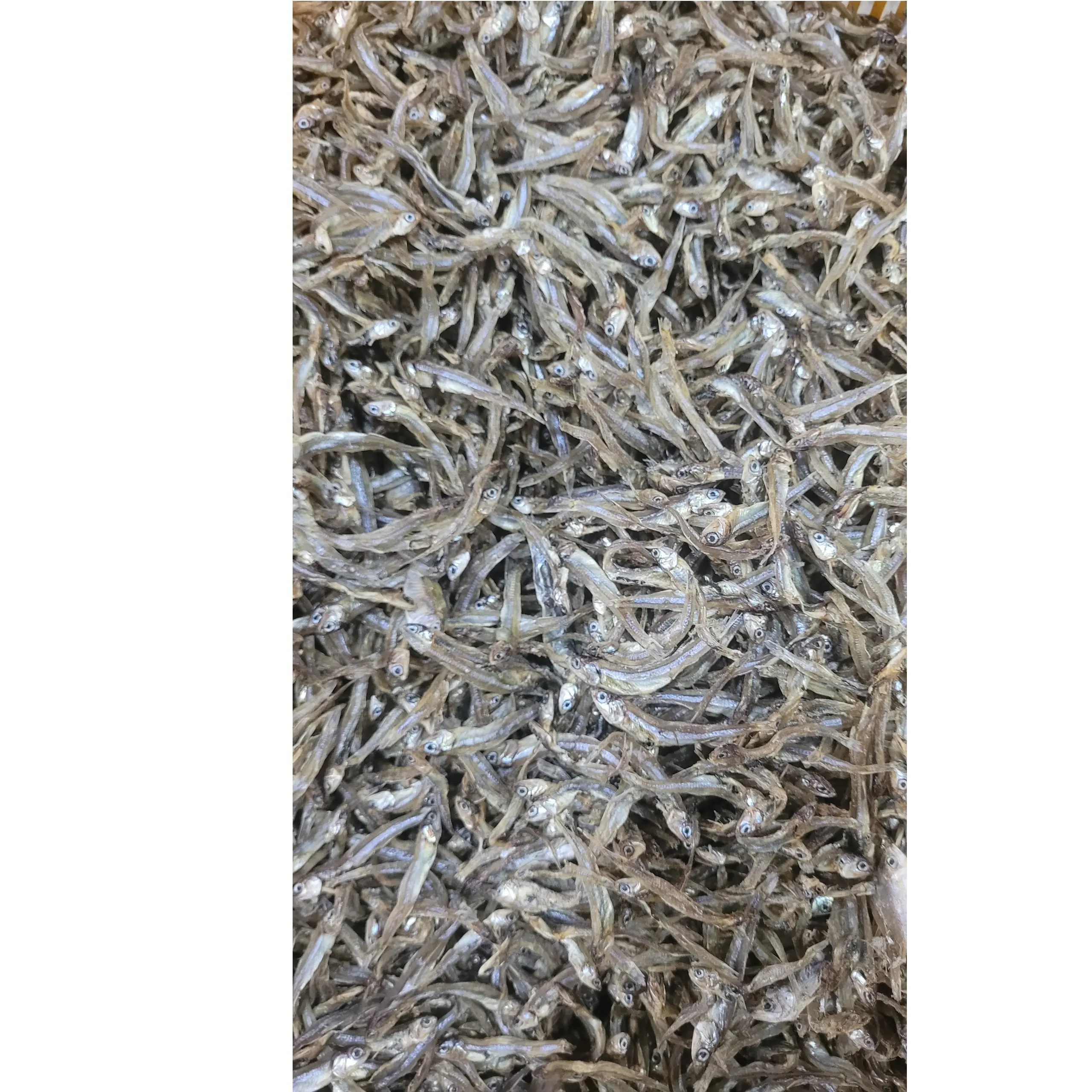 Vietnam Small Size Fresh Natural Color Grey Dried Anchovy Without Steam 4-6cm Whole Small Fish Anchovy Head Seafood
