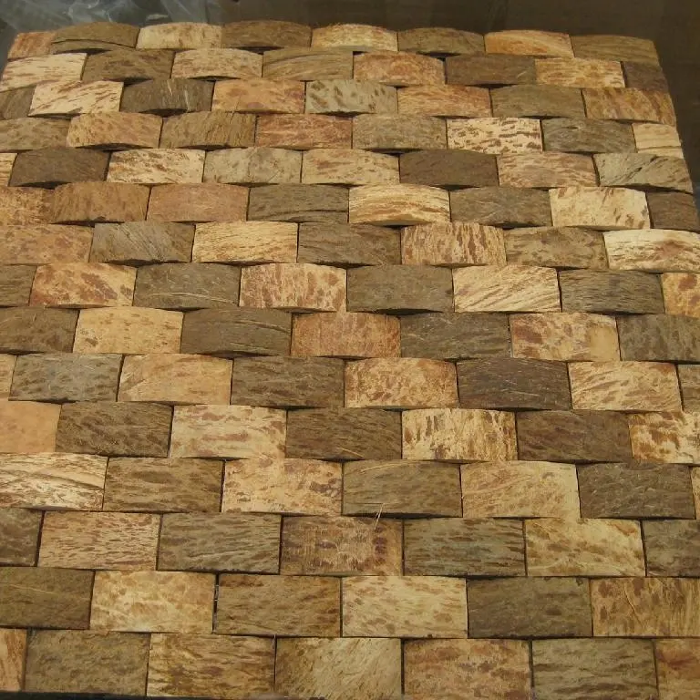 Mosaico di noce di cocco naturale del pannello di parete del mosaico del guscio di noce di cocco dal VIETNAM/decorazione all'ingrosso del guscio di cocco/piastrella da parete di cocco