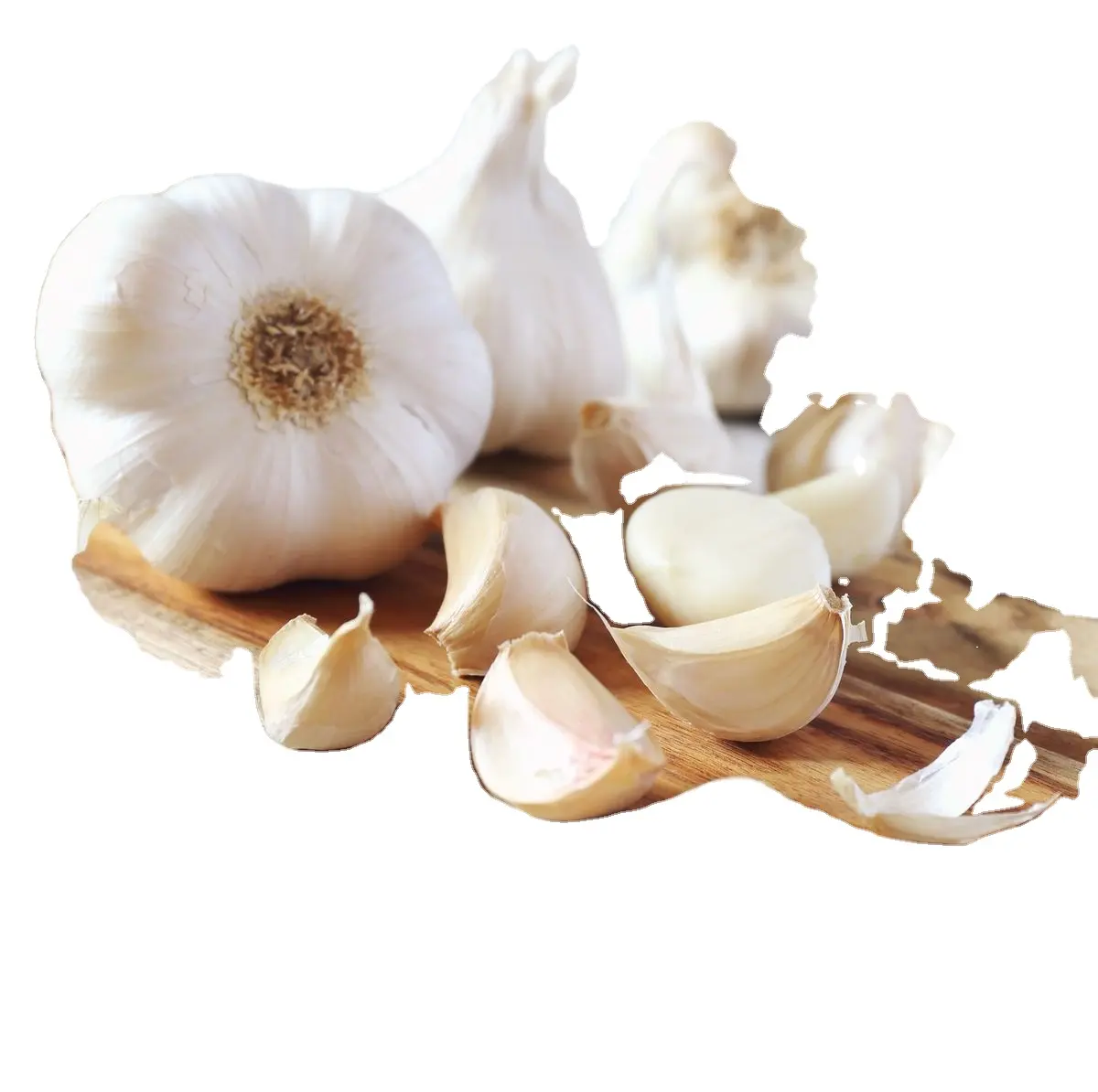 High Quality Low Price Fresh Organic Normal White Garlic Exporters