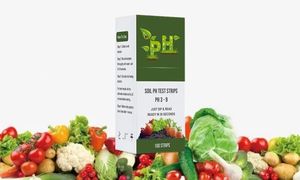แถบทดสอบค่า <span class=keywords><strong>pH</strong></span> ของดินสำหรับการเพาะปลูกสวนลานลานเครื่องวัดค่า <span class=keywords><strong>pH</strong></span> 3.0-แถบทดสอบ9.0ของใช้ในครัวเรือนง่ายและรวดเร็ว - Product Image 5