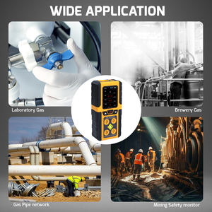 Rivelatore di perdite di Gas ad alta precisione analizzatore 4 in 1 H2S EX O2 CO IP68 livello di protezione sensore di Gas allarme luce udibile - Product Image 2