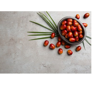 INDONESIAN and MALAYSIAN PALM OLEIN SUPPLIERS Palm Olein CP6 Palm Oil Vegetable Cooking Oil <strong>CP8</strong> Rbd CP10 Quality Refined - Product Image 4
