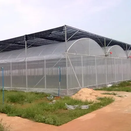 بيت زجاجي ذكي زراعي تجاري بتكلفة منخفضة متعدد الاستخدامات مزروع من البلاستيك لزراعة الطماطم